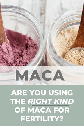 Maca Root Fertility, Fertility Aesthetic, Maca Fertility, Maca Powder Recipe, Maca Powder Benefits, Pregnant Funny, Maca Benefits, Pregnant Tips, Help Getting Pregnant