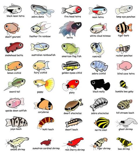 freshwater aquarium members by EvilDarkSide on DeviantArt Fish Diagram, Fish Names, Cute Cartoon Fish, Fish Chart, Ikan Air Tawar, Tropical Fish Aquarium, Tropical Freshwater Fish, Mini Aquarium, Freshwater Aquarium Fish