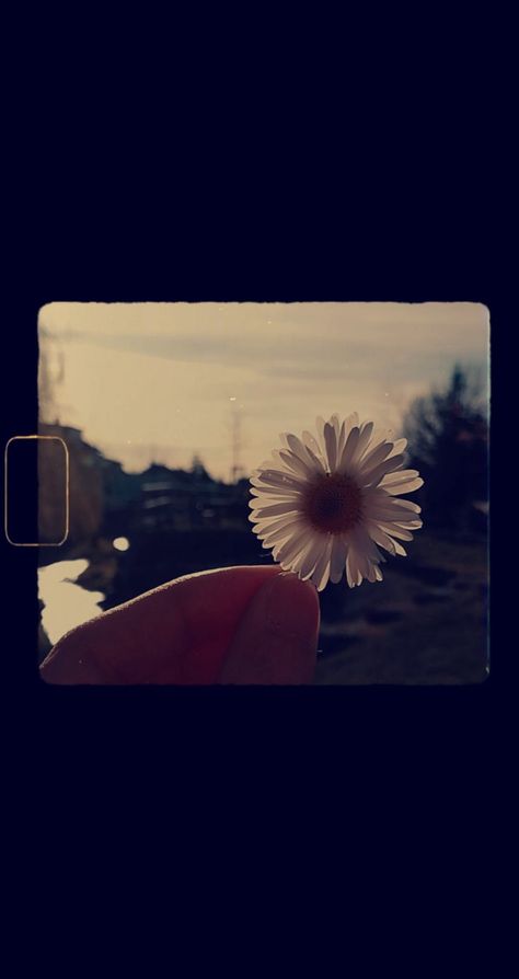 Super 8mm by h_ekal Film Aesthetic Background, Film Aesthetic Filter, Super 8 Film Aesthetic, 8mm Film Aesthetic, Super 8mm Film, Super 8mm, Super 8 Film, 8mm Film, Motion Background