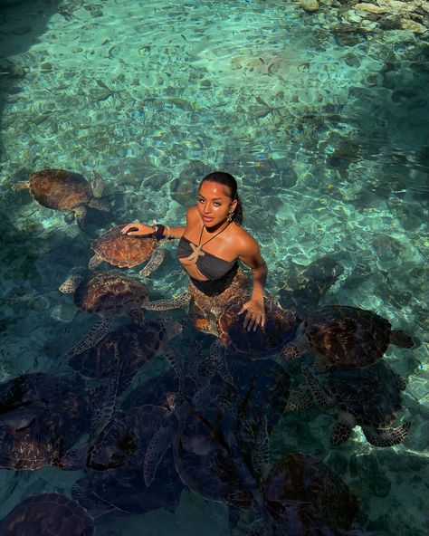 swimming with turtles Tropical Vacation Black Women, Black Women Instagram Picture Ideas, Night Pool Photos, Aesthetic Holiday Pictures, Zanzibar Aesthetic, Vacation Content, Swimming With Turtles, Swim With Turtles, Vacation Poses