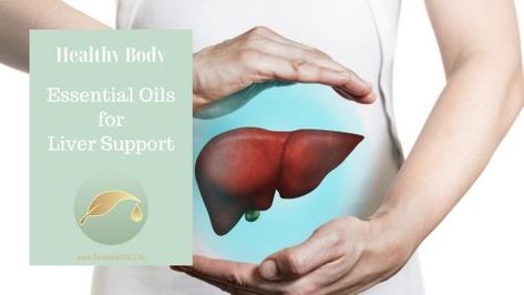 23 Essential Oils To Support Your Liver, plus 7 Blends Essential Oils For Liver Support, Caster Oil Packs For Liver, Castor Oil Compress Liver, Liver Castor Oil Pack, Essential Oil For Liver, Ways To Use Essential Oils, Liver Fatty Natural Treatments, Heal Liver, Fennel Essential Oil