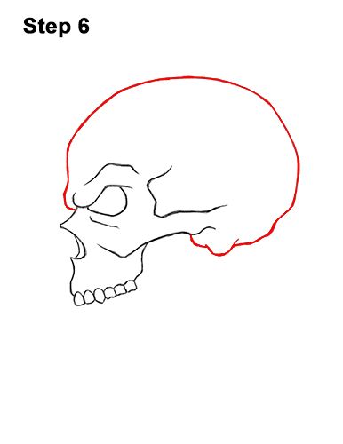 Skull Side View Drawing Tutorial, Side Of Skull Drawing, Sideways Skull Drawing, How To Draw A Skull Step By Step Easy, Skull Side View Drawing, Cool Skull Drawings Sketches, Sideways Skull, Skull Side View, Skull Drawing Sketches