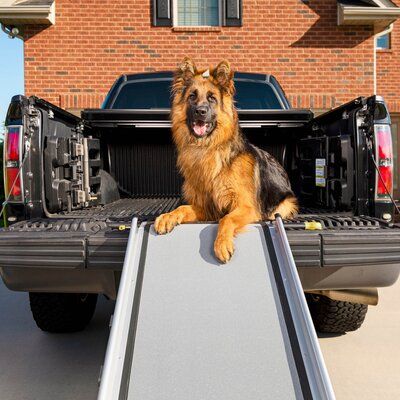 Give your best friend a leg up when you go on adventures together with this telescoping dog ramp. Weighing only 13 pounds, this ramp is easy for you to carry and lift in and out of your vehicle. Although light, the strong, durable aluminum ramp can support the largest four-legged friends up to 400 pounds. If your dog isn't quite tall enough to hop in the car, or if you want to help protect his joints, the telescoping ramp gives him the freedom to easily walk in and out of your car, minivan, or S Dog Ramp For Truck, Ramp For Dogs, Dog Steps For Bed, Dog Ramp For Car, Cat Ramp, Car Ramp, Aluminum Ramp, Pet Ramp, Car Ramps