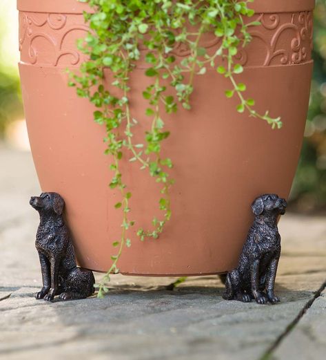 Labrador Dog, Garden Whimsy, 귀여운 동물, Bronze Color, How Beautiful, Healthy Plants, Plant Pot, Flower Pot, Labrador Retriever