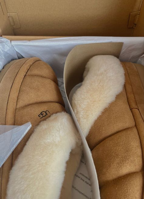 Tazzlita Ugg, Ugg Tazzlita, Cute Uggs, Fluffy Shoes, Ugg Tasman Slippers, 90s Trends, Ugg Tasman, Shoe Wishlist, Uggs Outfit