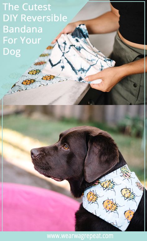 How To Make The Cutest DIY Reversible Dog Bandanas | Wear Wag Repeat