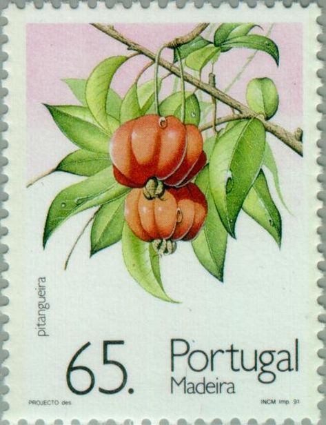 Fruit Stamp, Island Tattoo, Stamp Tattoo, Post Stamp, Flower Stamp, Postal Stamps, Blackwork Tattoo, Postage Stamp, Postage Stamps