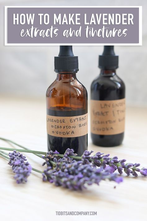 If you want to experience the health benefits or unique flavor of lavender, take a look at lavender extracts and tinctures. I'll show you how to make your own lavender extract and tincture at home in a few simple steps. Lavender Tincture, Homemade Essentials, Medicinal Herbs Remedies, Tinctures Recipes, Lavender Cookies, Herb Garden Pots, Container Herb Garden, Lavender Recipes, Medicinal Herbs Garden