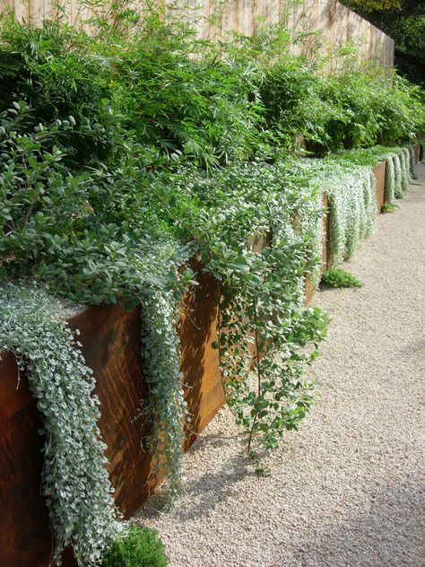 Corten Steel Garden Edging, Corten Steel Edging, Corten Garden, Australian Garden Design, Big Planters, Corten Steel Planters, Australian Garden, Coastal Gardens, Have Inspiration