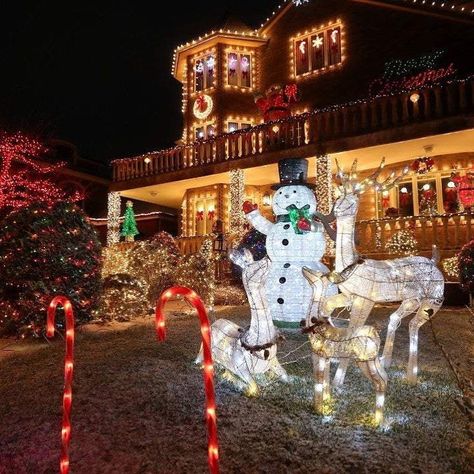 Christmas Light Tour, Dyker Heights Christmas Lights New York, Holiday Lights Display, Public Restroom, Netflix Movies, Halloween Party Diy, Nyc Trip, Light Display, Holiday Lights