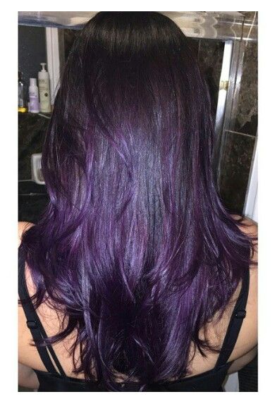 Violet Highlights In Brown Hair, Purple Highlights Straight Hair, Purple Layered Hair, All Over Dark Purple Hair Color, Dark Hair Purple Tint, Purple Hair And Brown, Dark Purple And Black Hair, Hair Colour Purple Dark, Dark Violet Hair Brown Deep Purple