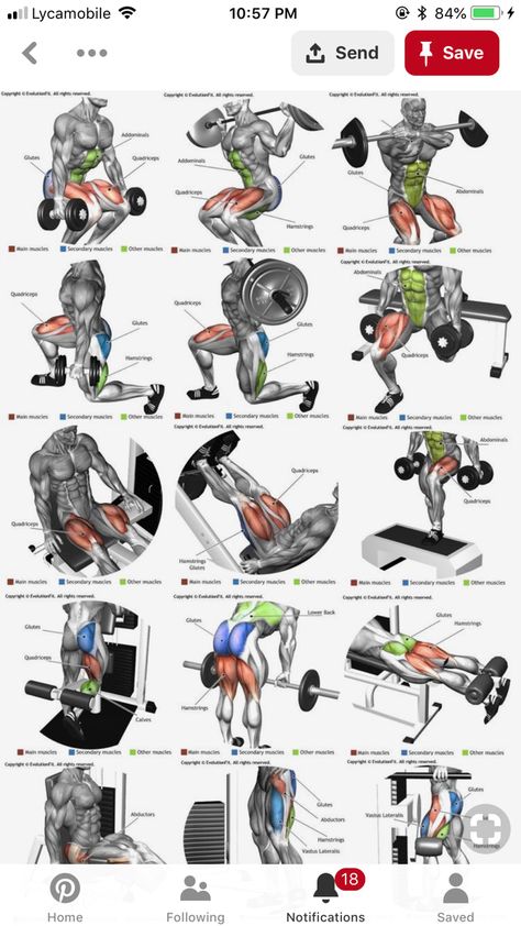 Gym Reference, Gym Back Workout, Legs Exercise, Chest Workout Routine, Leg Workouts Gym, Workout Gym Routine, Gym Workout Guide, Leg Workout Routine, Bodybuilding Workouts Routines