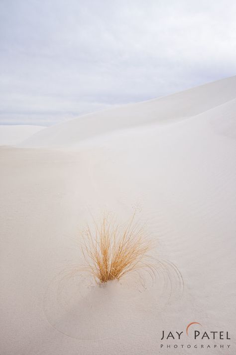 Crop Circles White Sands National Park, National Park Photography, White Sands National Monument, South By Southwest, National Parks Photography, Fine Art Landscape Photography, New Mexico Usa, Park Photography, National Parks Usa