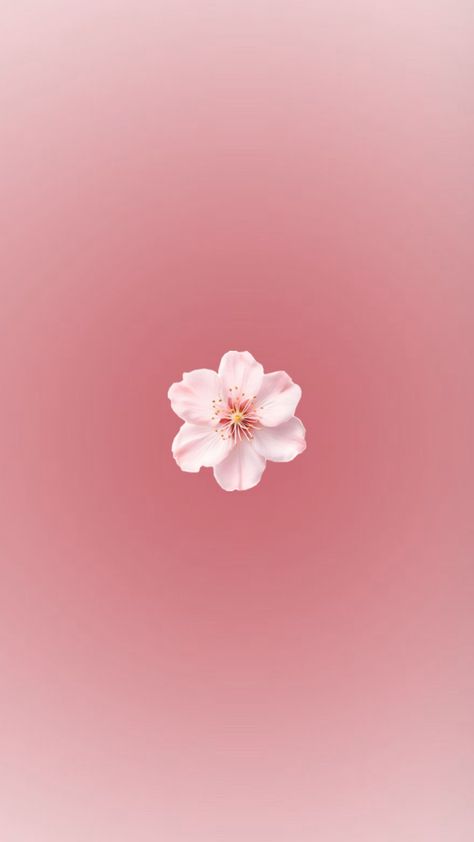 Fond d’écran àesthétique  de fleur rose pale Photo Rose Pastel, Rose Aesthetic Couleur, Rose Couleur Aesthetic, Photo Rose Aesthetic, Photo Aesthetic Rose, Image Aesthetic Rose, Flower Profile Picture, Fatima Wallpaper, Rose Vibe