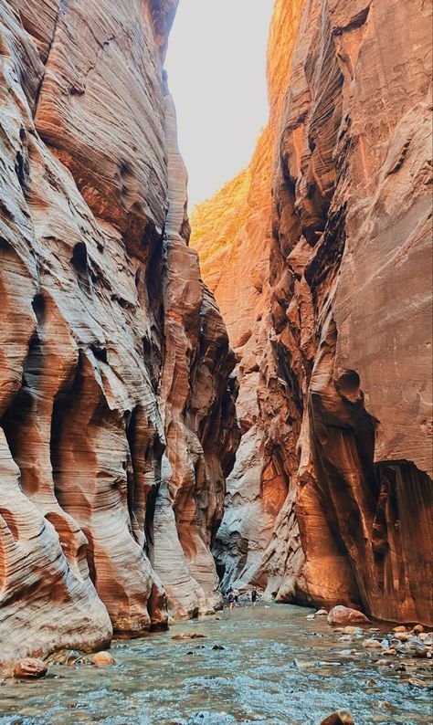 hiking in the narrows at zion national park Zion National Park Pictures, Zion National Park Wallpaper, Zion Narrows Hike, Zion National Park Narrows, Zion Narrows, Zion Park, Hiking The Narrows, The Narrows, Utah Adventures