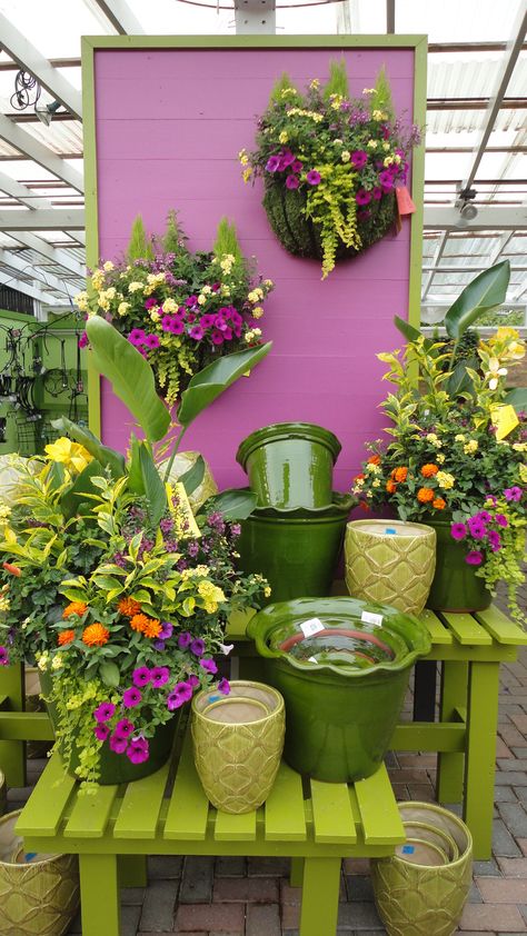 Beautiful Garden Center Display Greenhouse Display, Planting Station, Garden Centre Displays, Garden Center Ideas, Garden Center Displays, Garden Displays, Small City Garden, Merchandising Ideas, Modern Plant Stand