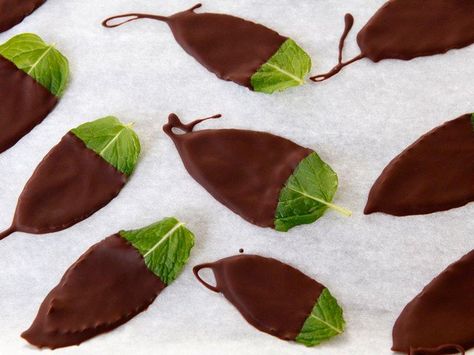 Escape with Ghiradelli Intense Dark - Dark Chocolate Mint Leaves Chocolate Mint Leaves, Mint Desserts, After Dinner Mints, Dark Chocolate Mint, Dinner Mints, Pbs Food, Ghirardelli Chocolate, Mint Recipes, Chocolate Mint