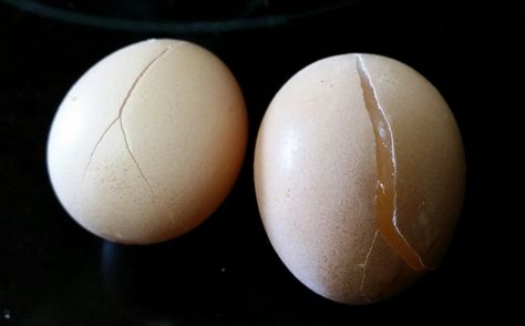 Frozen Eggs, Ugh.  Read how to prevent them and how you can use them. Frozen Eggs, Freezing Eggs, Starting A Family, Chicken Keeping, Farm Fresh Eggs, Frozen Chicken, Whole Eggs, Canned Chicken, Fresh Eggs