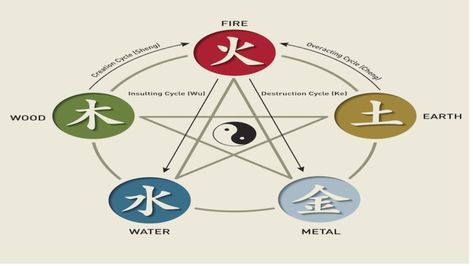 Five Chinese Zodiac Elements: What Element Am I? | Gaia Earth Wind Fire Water, Birth Animal, Dog Birth, Astrology Dates, Chinese Lunar Calendar, Zodiac Signs Elements, The 5 Elements, Zodiac Elements, Zodiac Years