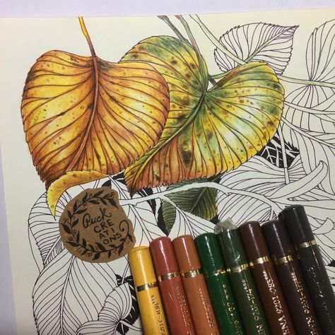 Puck Creations (@mellymartinelli) • Instagram-bilder og -videoer Bodhi Tree Art, Magical Jungle Johanna Basford, Leila Duly, Pencil Inspiration, Colored Pencil Tutorial, Coloring Tips, Colored Pencil Techniques, Colouring Techniques, Botanical Painting