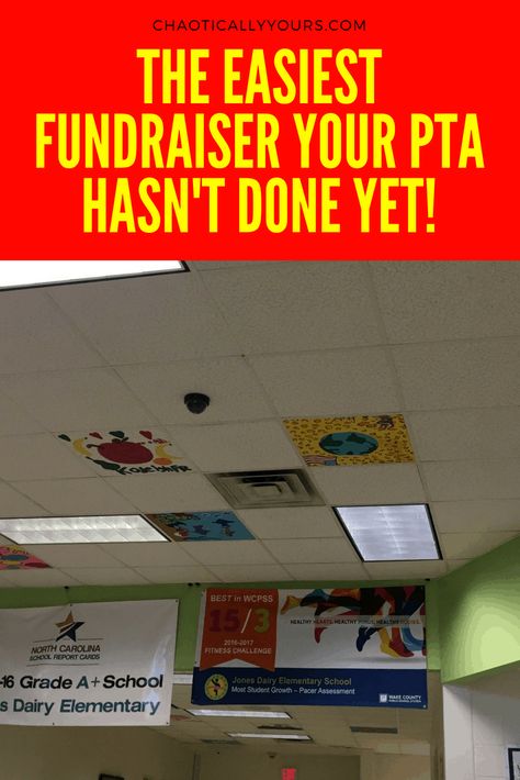 Fundraiser Ideas School, Pta Events, Pta Moms, Charity Work Ideas, Pta Fundraising, Easy Fundraisers, Fundraising Activities, School Pto, Pta School