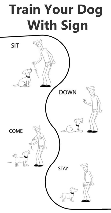 Train your dog with hand signals and gestures using positive reinforcement training | #Dog_Training_Tips #Dog_Training_Hand_Signals #Hand_Signals #Hand_Sign Dog Training Hand Signals, Dog Hand Signals, K9 Training, Service Dog Training, Positive Dog Training, Hand Signals, Hand Sign, Train Your Dog, Positive Reinforcement