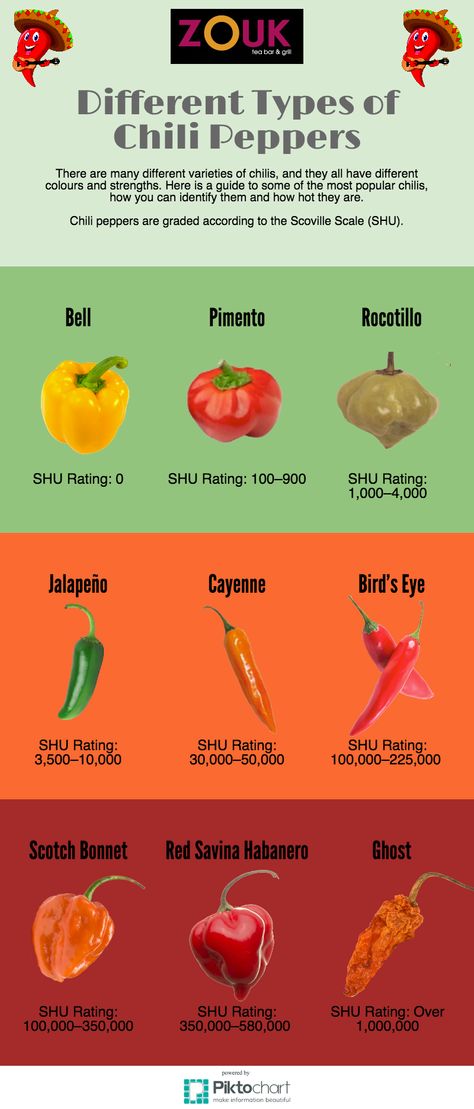 Check out the different types of Chilli Peppers, along with their hotness rating! Different Types Of Chili, Chilli Art, Types Of Chili, Types Of Chili Peppers, Types Of Peppers, Chilli Peppers, Scotch Bonnet, Homemade Seasonings, Tea Bar