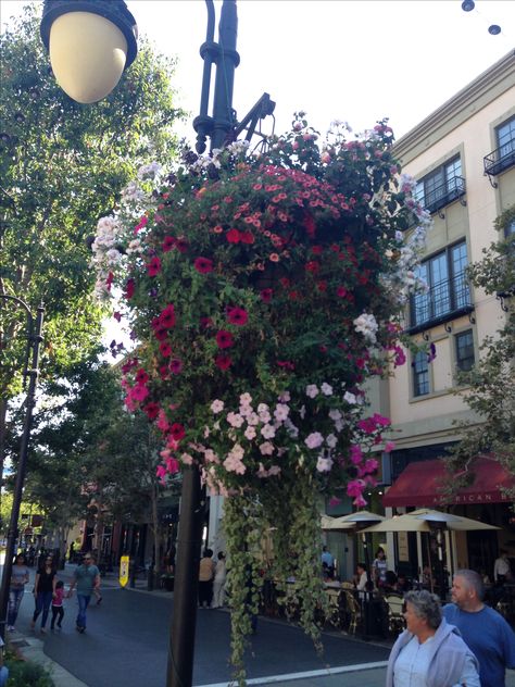 Santana Row - San Jose, CA Santana Row, San Jose Ca, Dream Destinations, Places Ive Been, San Jose, The Row, Baskets, Street View