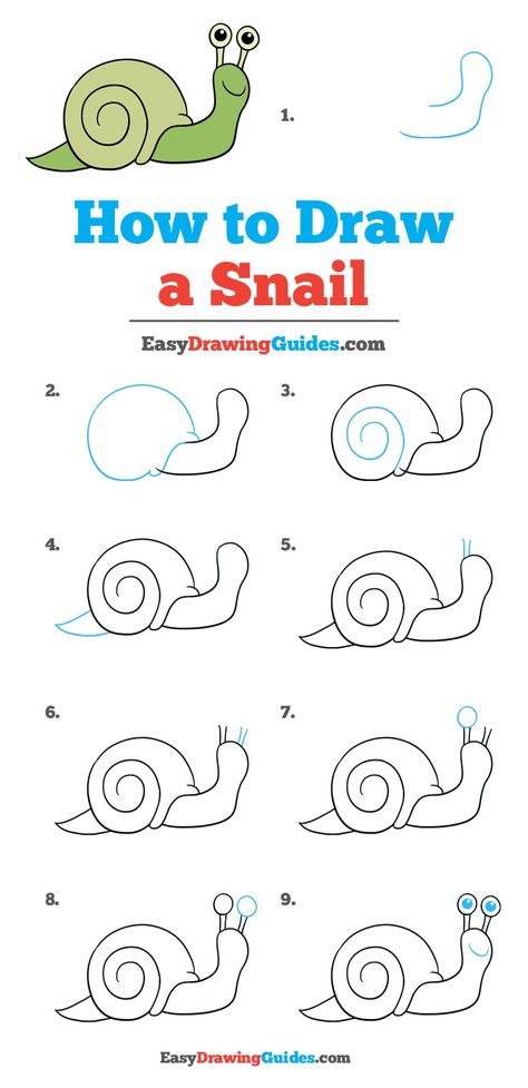 Learn How to Draw a Snail: Easy Step-by-Step Drawing Tutorial for Kids and Beginners. #Snail #DrawingTutorial #EasyDrawing See the full tutorial at https://easydrawingguides.com/how-to-draw-a-snail/. Snail Painting Easy, How To Draw A Snail, Snail Drawing, Trin For Trin Tegning, How To Draw Anything, Drawing Instructions, Snail Art, Drawing Lesson, Easy Drawing Tutorial