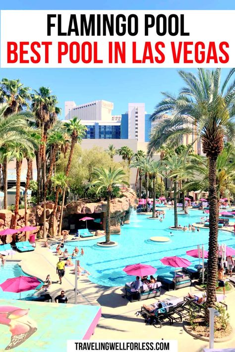 The Flamingo Pool is one of the best pools in Las Vegas. In the center of the Las Vegas Strip, the Flamingo Las Vegas Hotel & Casino offers two pools, waterfall, lagoon, and waterslides | Flaming Pool | Flamingo Las Vegas Pool | Go Pool | Beach Club | best pools in Las Vegas | best Vegas pools | Las Vegas pools | Flamingo Las Vegas Hotel & Casino | #travelwell4less Pools Waterfall, Vegas Paris Hotel, Best Pools In Vegas, Best Hotels In Vegas, Flamingo Hotel Las Vegas, Vegas Hotel Rooms, Best Pools, Las Vegas Pool, Flamingo Las Vegas