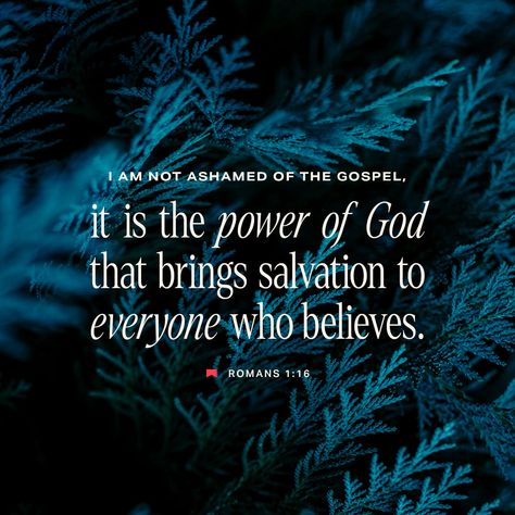 Romans 1:16 For I am not ashamed of the gospel, because it is the power of God that brings salvation to everyone who believes: first to the Jew, then to the Gentile. | New International Version (NIV) | Download The Bible App Now Not Ashamed Of The Gospel, Romans 1 16, I Am Not Ashamed, Romans 1, Righteousness Of God, Playdough Activities, Power Of God, Roman 1, New American Standard Bible