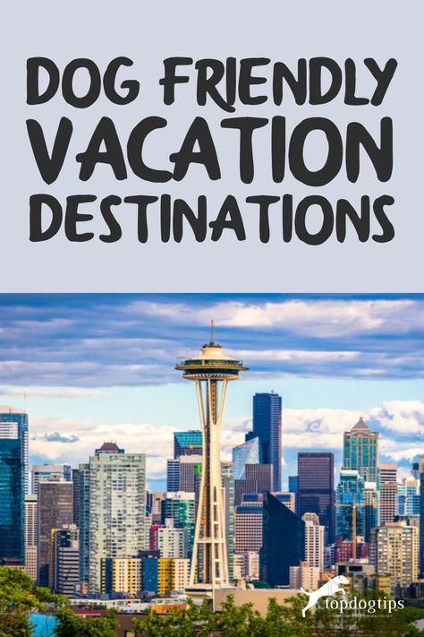 Vacation Destinations In The Us, Road Trip With Dog, Dog Friendly Vacation, Solo Vacation, Safe Trip, Pet Friendly Vacations, Spring Break Vacations, Dog Friendly Hotels, Theater Design