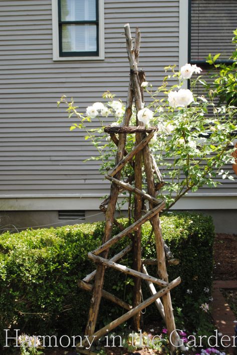 Garden Inspiration Using Dead Trees & Branches - Harmony in the Garden Diy Garden Trellis, Garden Structures, Rose Trellis, Garden Vines, Garden Arbor, Have Inspiration, Garden Yard Ideas, Garden Trellis, Yard And Garden