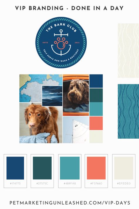 Pet Business Branding, Pet Marketing, Pet Services Business, Logo Mood Board, Vip Day, Teal Color Palette, Pet Branding, Blog Post Topics, Dream Pet