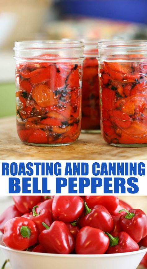 Canning Roasted Red Peppers, Can Peppers, Pickling Peppers, Canning Bell Peppers, Roasted Red Peppers Recipes, Garden Peppers, Canning Peppers, Red Pepper Recipes, Homestead Recipes