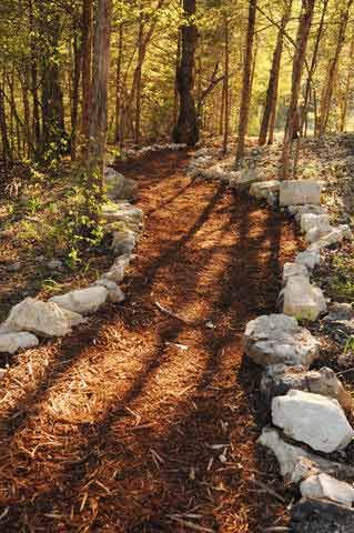 Enjoy well maintained walking paths through the woods. Cabin Indoor, Missouri Vacation, Ranch Landscaping, Cabin Resort, Wood Path, Homesteading Diy, Wooded Landscaping, Stone Creek, Road House