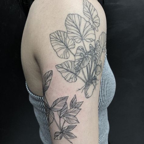 Elephant Ear Tattoo, Dallas Tattoo, Taro Plant, Fresh Tea, Elephant Ear Plant, Plant Tattoo, Leaves Art, Elephant Ears, Tea Leaves