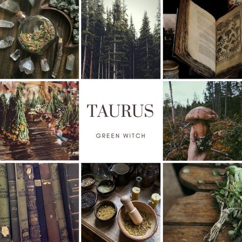 Note to Self Taurus Witch Aesthetic, Taurus Art, Nature Witch, Astrology Taurus, Goofy Drawing, Taurus Woman, Zodiac Signs Taurus, Astrology Art, Taurus Facts