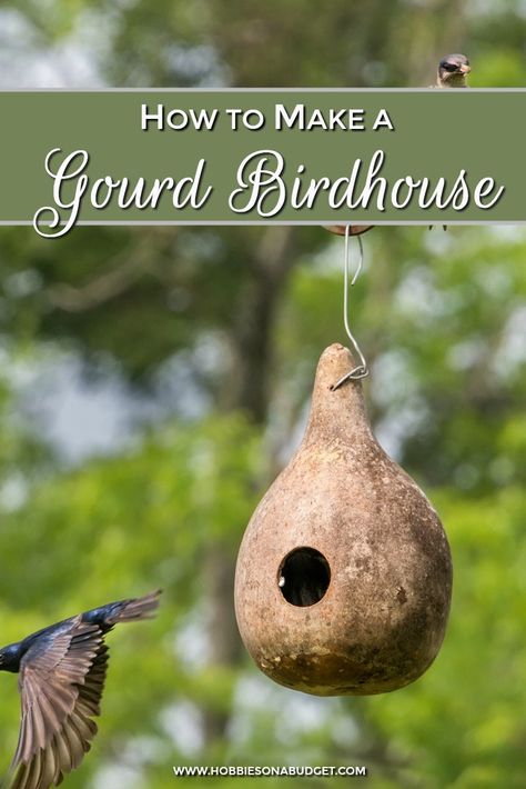 How To Build Abs, Gourd Birdhouses, Purple Martin House, Purple Martin, Bluebird House, Bird House Plans, Gourds Birdhouse, Martin House, Bird House Kits