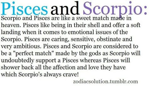 We are ALL of this but he has a girlfriend!! How can you connect with someone like this when he has a girlfriend???.. #fml Scorpio Men And Pisces Women, Scorpio Pisces Love, Pieces And Scorpio Relationship, Pisces Scorpio Relationship, Scorpio And Pieces, Pisces Man Scorpio Woman, Scorpio Man Pisces Woman, Pisces And Scorpio Tattoo, Pisces And Scorpio Compatibility