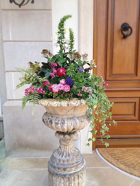 Spring Planter, Porch Flowers, Container Garden Design, Container Gardening Flowers, Garden Urns, Urn Planters, Indoor Flowers, Outdoor Flowers, Garden Containers