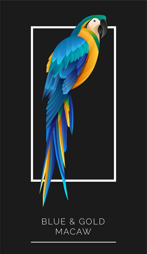 Parakeet Art, Wallpaper Dog Aesthetic, Animals And Pet Supplies, Parrot Tattoo, Blue Gold Macaw, Palm Tree Drawing, Dog Tattoo Ideas, Colombian Art, Wallpaper Dog