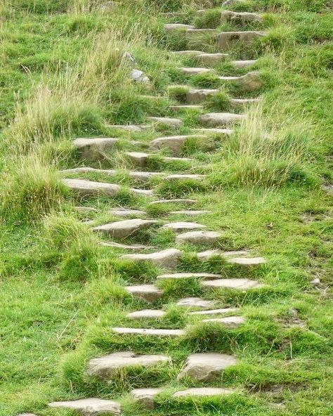 Stairs Design Outdoor, Pavement Design, Landscape Stairs, Outdoor Walkway, Urban Landscape Design, Garden Stairs, Stone Stairs, Hillside Landscaping, Backyard Water Feature