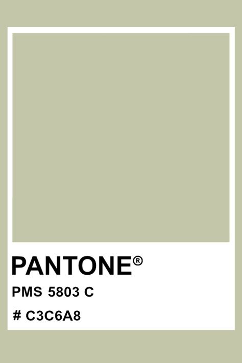 PANTONE 5803 C #pantone #color #PMS #hex Pantone Pistachio Green, Pistachio Wall Color, Pantone Pistachio, Pantone Sage Green, Light Green Pantone, Sage Pantone, Pantone Green Shades, Pantone Shades, Pantone Green