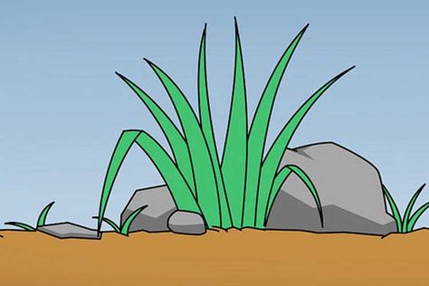 How to draw grass: Realistic, Simple, Easy and Fun Cartoon Grass, Grass Drawing, Cartoon Download, Clip Art Library, Easy Cartoon Drawings, Draw Cartoon, Cartoon Png, Plant Covers, Art Library