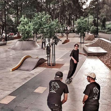 Skateboarding In Sydney Skate Park Design Architecture, Skate Park Design, Skateboard Rails, Jersey Barrier, Skatepark Design, Mini Skate, Ramp Stairs, Skate Ramp, Skateboard Ramps