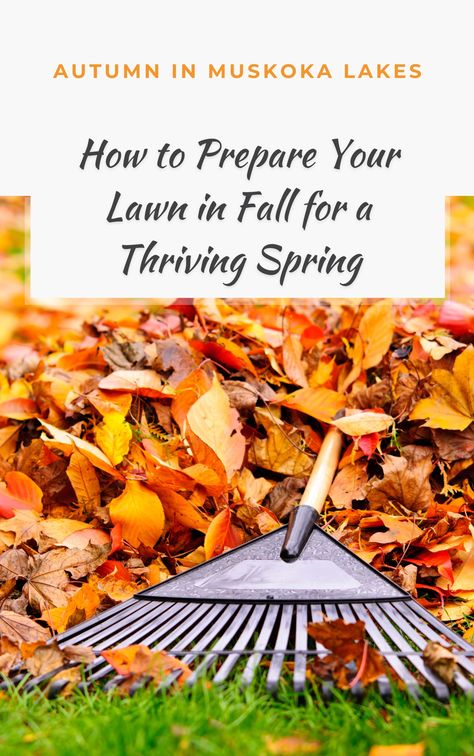 Get Your Cottage Lawn Ready for Winter! 🍁 Take these simple steps to ensure your lawn stays healthy through winter and bounces back beautifully in spring. 🍃 From fertilizing to aerating, your fall prep can make all the difference for a thriving lawn in the spring. Dive into the article to learn more!

Are you keeping up with your lawn care as the season changes? What’s your go-to fall lawn care tip? Let us know in the comments! Fall Lawn Care, Fall Lawn, Fall Prep, Declutter Home, Lawn Care Tips, Real Estate Tips, Lawn And Garden, Changing Seasons, In The Fall