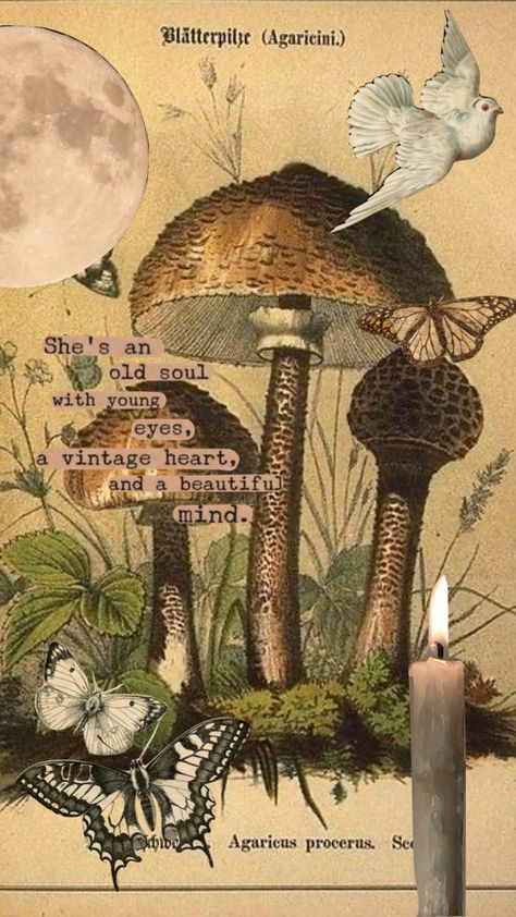 #aesthetic #moodboard #vintage #mushroomcore #mushroom Mushroom Background, Faerie Aesthetic, Mushroom Core, Shuffles Aesthetic, Cottagecore Wallpaper, Mushroom Poster, Grunge Posters, Wall Collage Decor, Mushroom Wallpaper