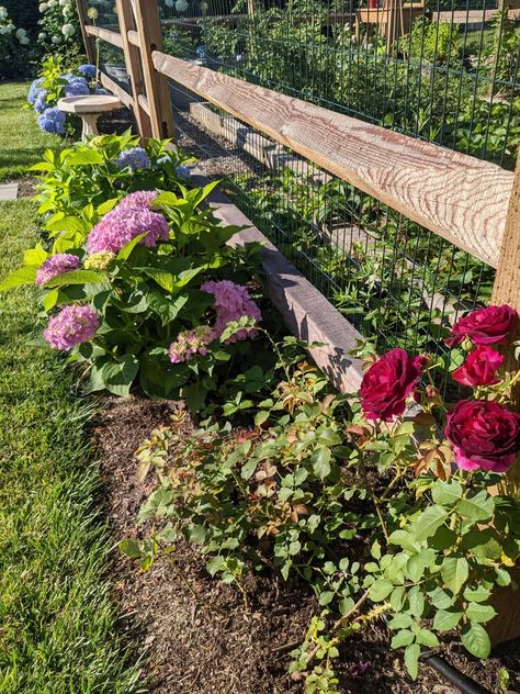 Split Rail Fence Garden Ideas, Split Rail Fence Garden, Split Fence Landscaping, Split Rail Fence Ideas Driveways, Split Rail Garden Fence, Split Rail Fence Ideas Landscaping, Split Rail Fence Landscaping, Split Rail Fence Ideas, Fence With Wire