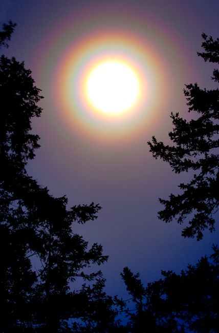 Ring around the Moon ~ The rings are caused by moonlight refracting off of ice crystals high in the atmosphere. Folklore says that a ring around the moon means that there's a storm coming. Ring Around The Moon, Moon Meaning, Sun Dogs, Moon Pictures, Ice Crystals, Beautiful Moon, Natural Phenomena, A Storm, Beautiful Sky